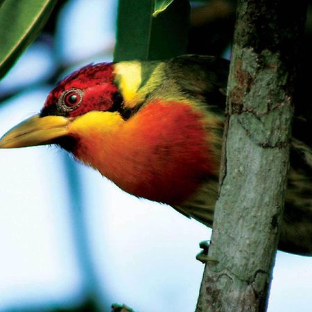 Inkaterra Reserva Amazonica ปูแอร์โต มัลโดนาโด ภายนอก รูปภาพ