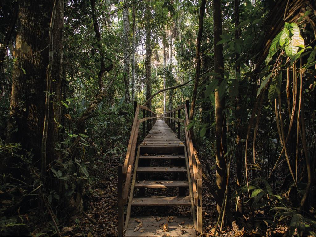 Inkaterra Reserva Amazonica ปูแอร์โต มัลโดนาโด ภายนอก รูปภาพ