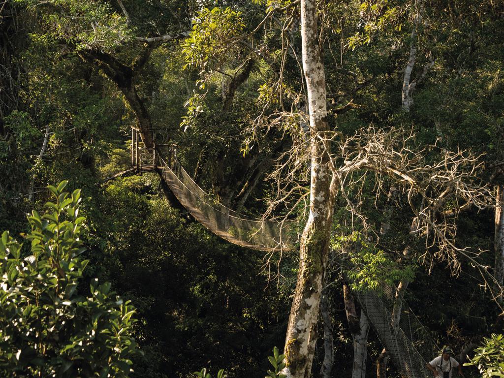 Inkaterra Reserva Amazonica ปูแอร์โต มัลโดนาโด ภายนอก รูปภาพ